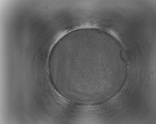 X0000052541173200507152125