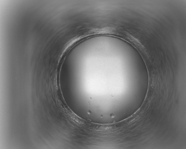 X0000052541174200507152125