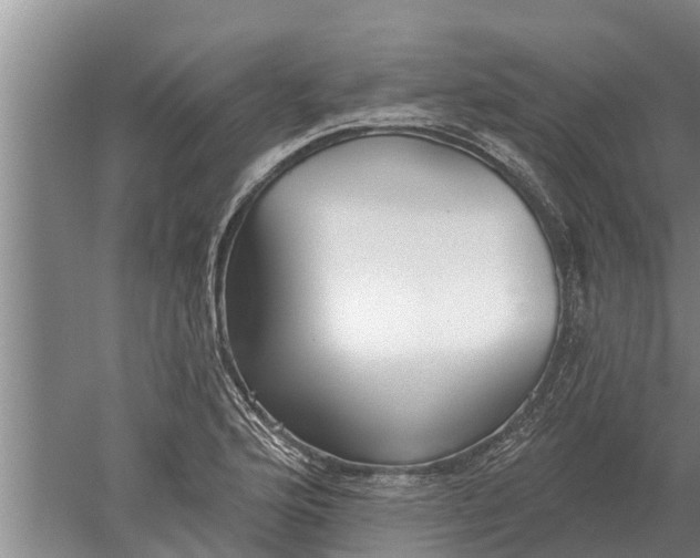 X0000052541176200507152125