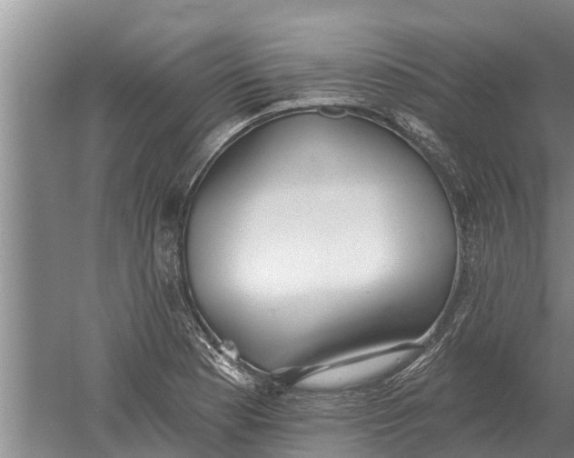 X0000052541177200507152125