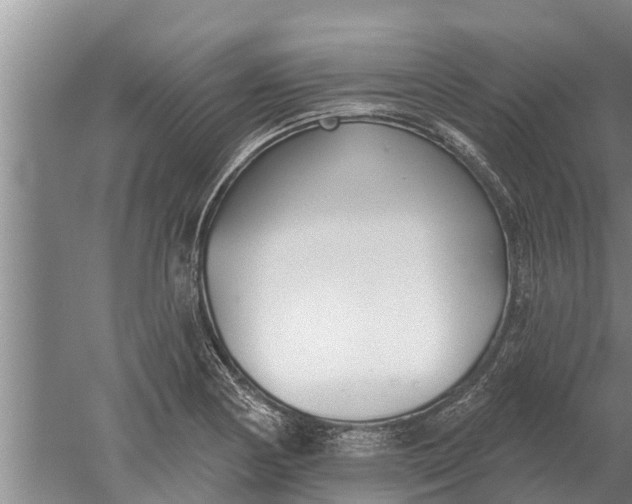 X0000052541178200507152125