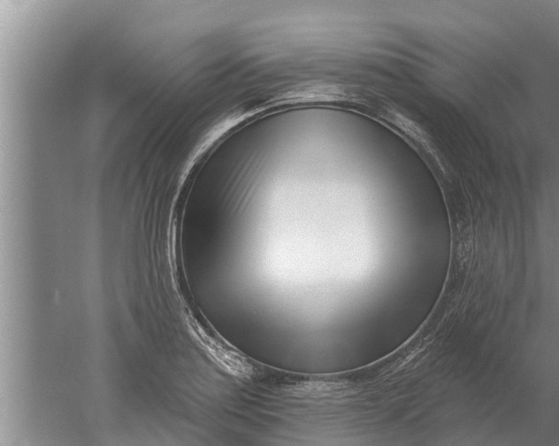 X0000052541179200507152125