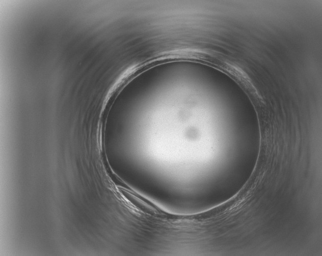 X0000052541180200507152125