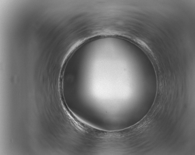 X0000052541183200507152125