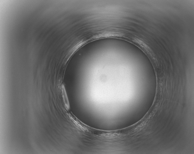 X0000052541185200507152125