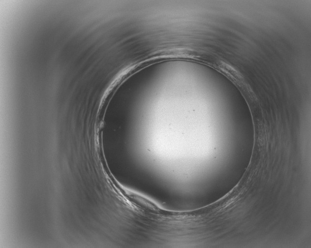 X0000052541188200507152125