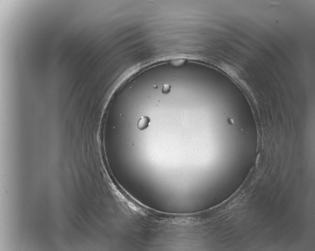 X0000052541189200507152125