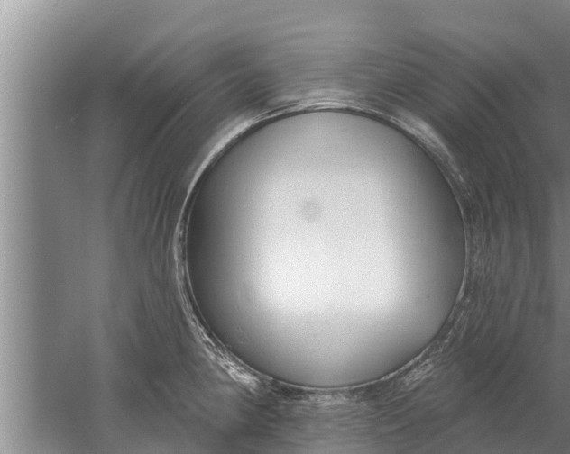 X0000052541190200507152125