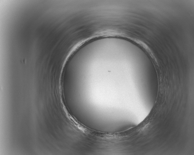 X0000052541191200507152125