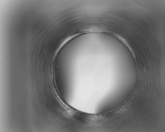 X0000052541195200507152124