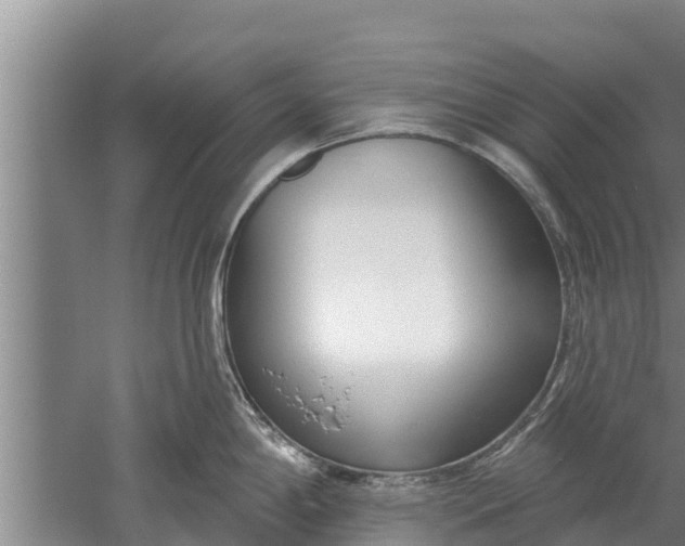 X0000052541198200507152124