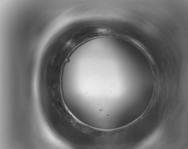 X0000052541199200507152124