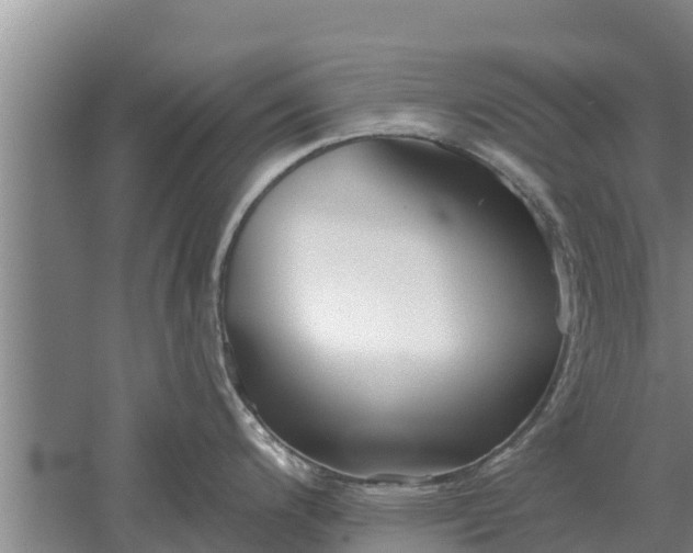 X0000052541200200507152124