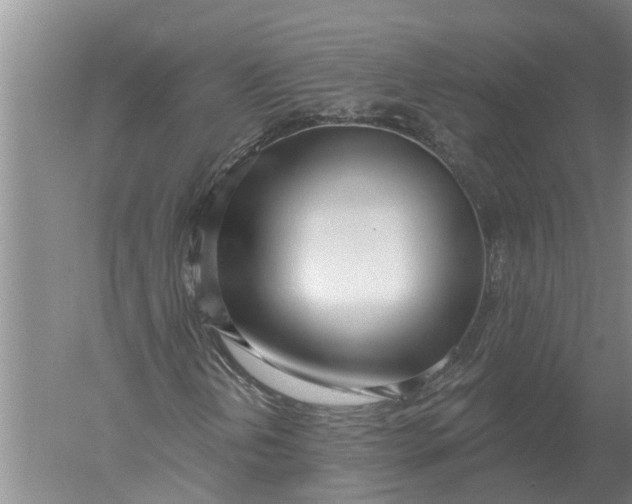 X0000052541202200507152124