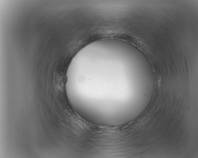 X0000052541204200507152124