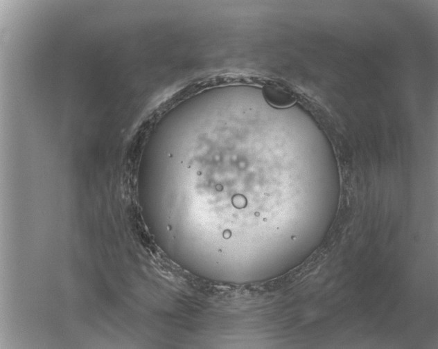 X0000052541207200507152124