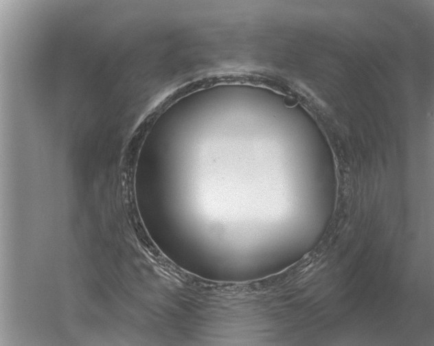 X0000052541208200507152124