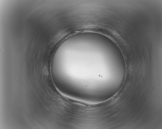 X0000052541209200507152124