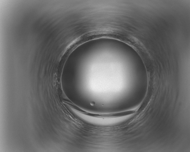 X0000052541210200507152124