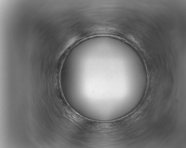 X0000052541211200507152124