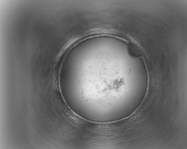 X0000052541215200507152124