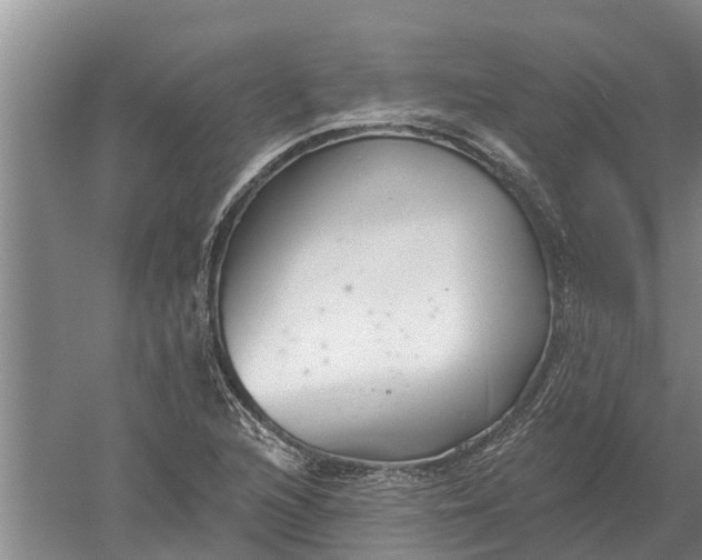 X0000052541216200507152124