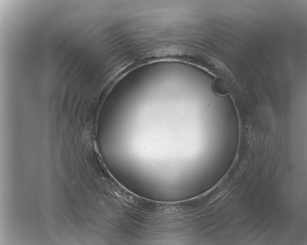 X0000052541217200507152124