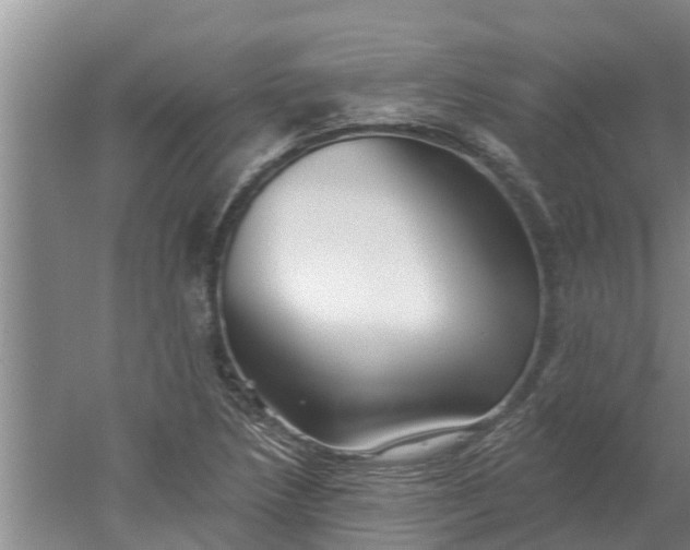 X0000052541218200507152124