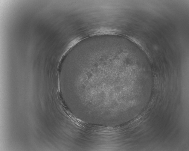 X0000052541219200507152124