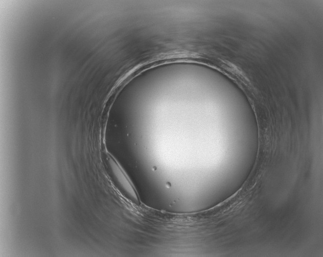 X0000052541220200507152124