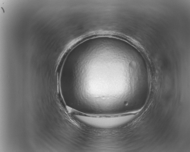 X0000052541223200507152124