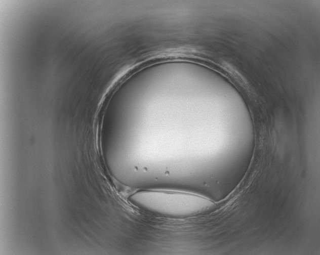 X0000052541224200507152124