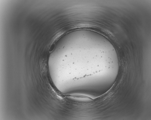 X0000052541225200507152124