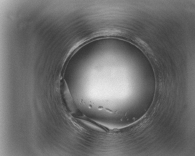 X0000052541226200507152124