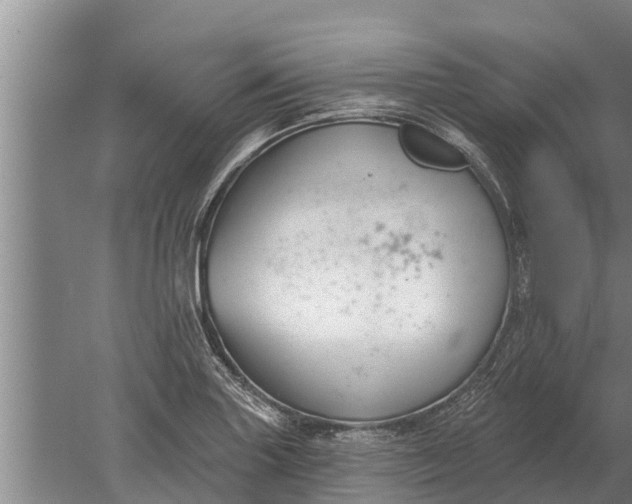 X0000052541227200507152124