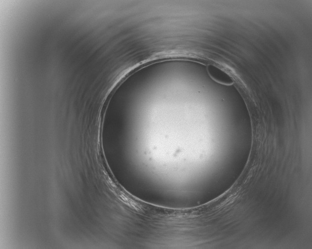 X0000052541228200507152124