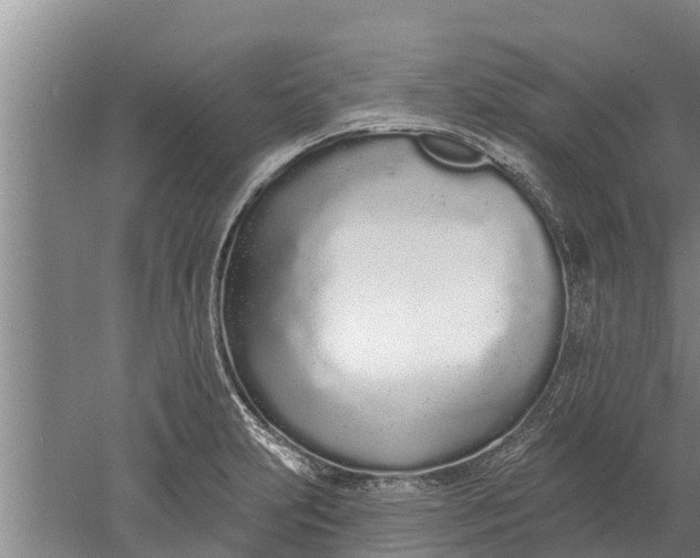 X0000052541231200507152124