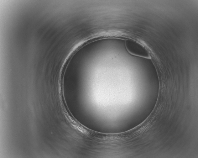 X0000052541232200507152124