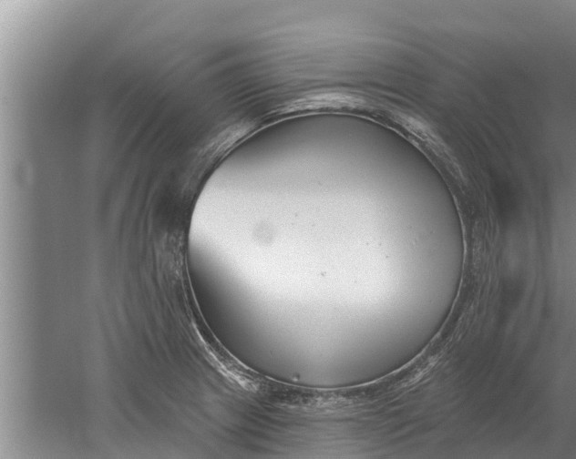 X0000052541233200507152124