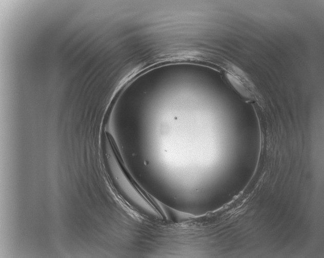 X0000052541234200507152124