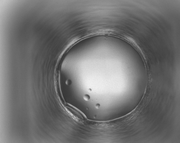 X0000052541235200507152124