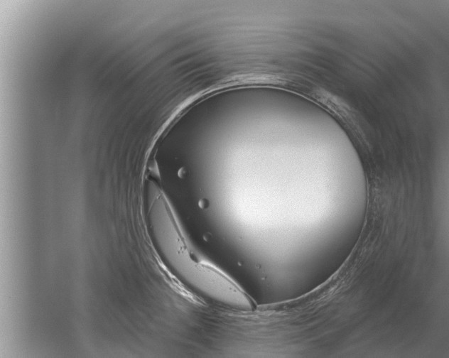 X0000052541236200507152124