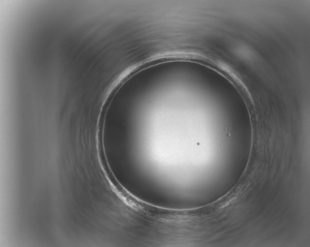 X0000052541237200507152124