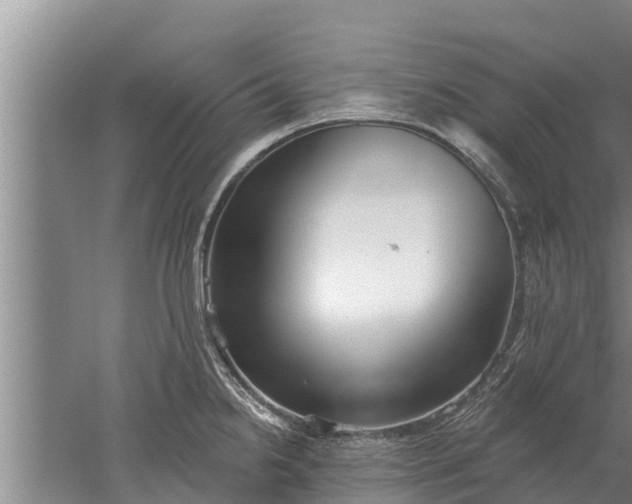 X0000052541238200507152124