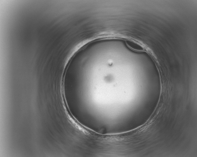 X0000052541239200507152124