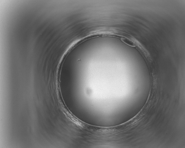 X0000052541240200507152124