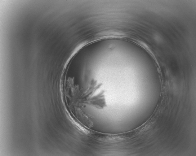 X0000052541243200507152124