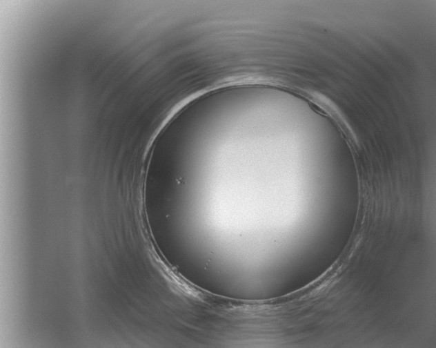 X0000052541244200507152124