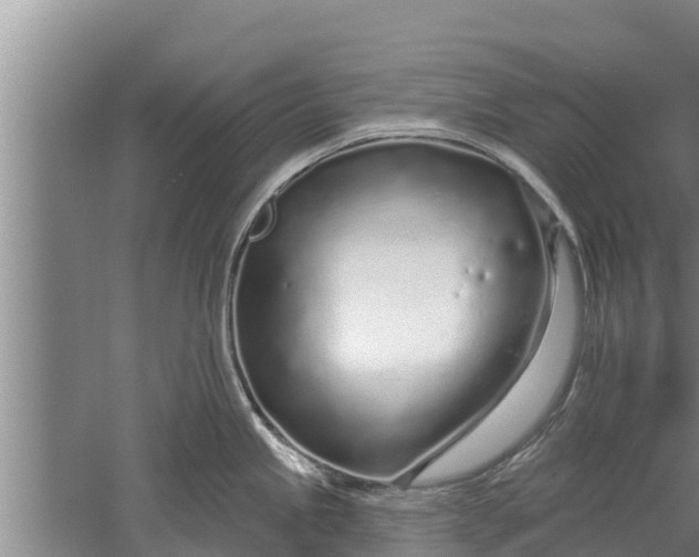 X0000052541245200507152124