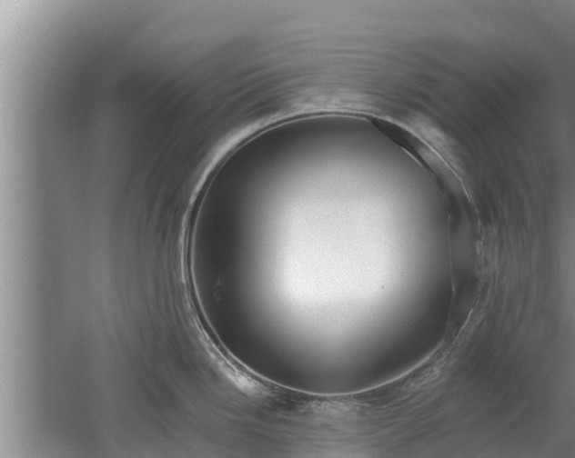 X0000052541246200507152124